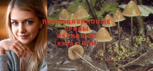 mix Заводоуковск