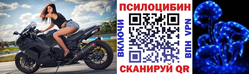 Псилоцибиновые грибы прущие грибы  Купить  Заинск 