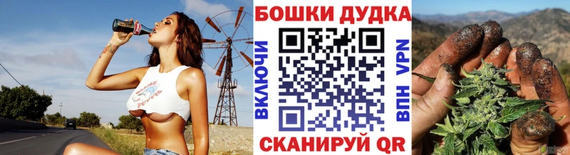 Купить где  Заинск  Бошки марихуана Bruce Banner 